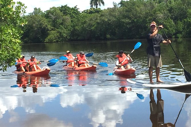 Naples FL, Kayak Mangrove Forest Tour - Tour Overview