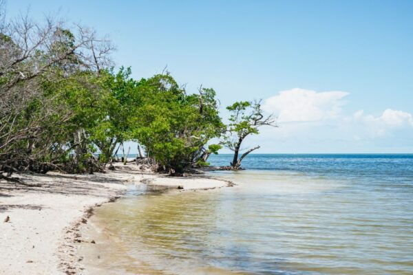 Naples, FL: Manatee and Dolphin Cruise to 10,000 Islands - Directions