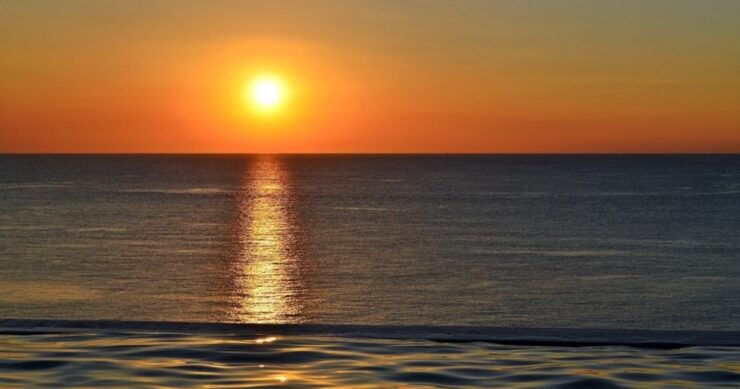 Naples, FL: Manatee, Dolphin, & 10,000 Islands Sunset Cruise - Experience Highlights