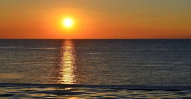 Naples, FL: Manatee, Dolphin, & 10,000 Islands Sunset Cruise - Full Description