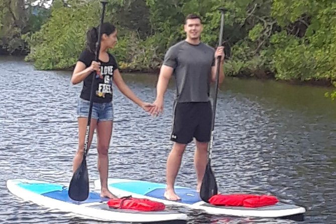 Naples Fl, Paddleboard Mangrove Forest Tour - Tour Highlights