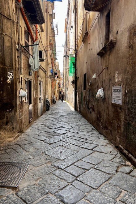 Naples: Guided Tour of the Historic Center - Tour Details