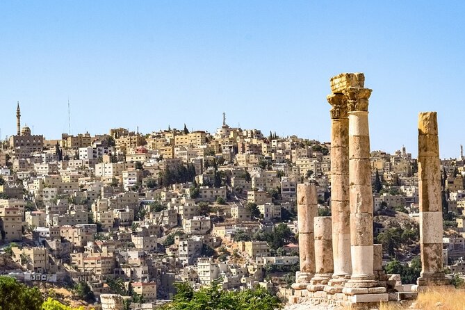 Naples: Herculaneum Entry Ticket and Self-Guided Audio Tour - Ticket Details