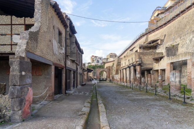 Naples: Herculaneum Skip-The-Line Tour With Archaeologist - Inclusions and Meeting Point