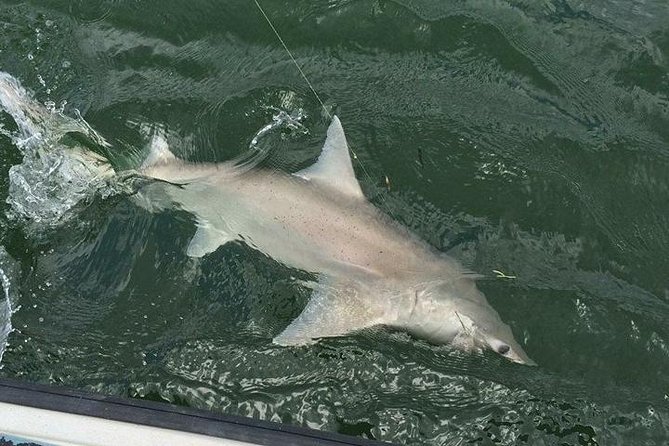 Naples Inshore Fishing Charters - Pricing and Reservation Details