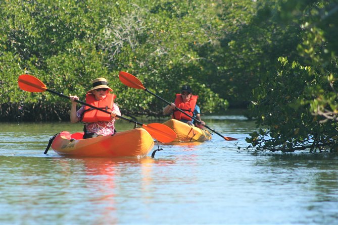 Naples Kayak Rentals at Cocohatchee River Park Marina - Cancellation Policy and Reviews