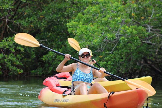 Naples Kayak Rentals at Cocohatchee River Park Marina - Directions