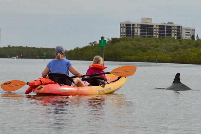 Naples Kayak Rentals at Cocohatchee River Park Marina - The Sum Up