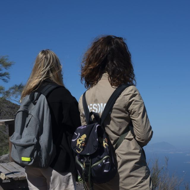 Naples: Mount Vesuvius Skip-the-Line Ticket and Audio Guide - Select Participants and Date