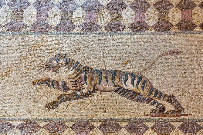 Naples Museums: Archeological and Capodimonte Private Tour From Rome - Good To Know