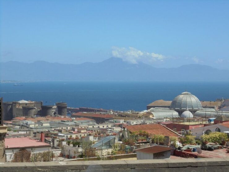 Naples: Naples, Pompeii, and Vesuvius Full-Day Tour - Booking Details