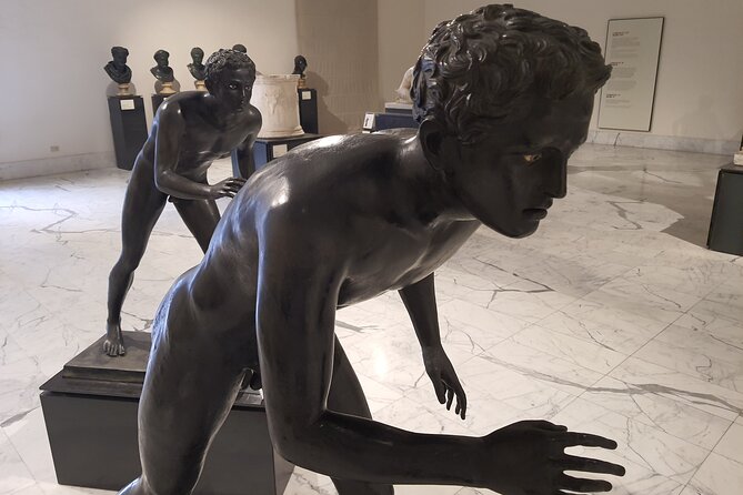Naples National Archaeological Museum and Historical Centre Private Tour - Meeting Point and Pickup
