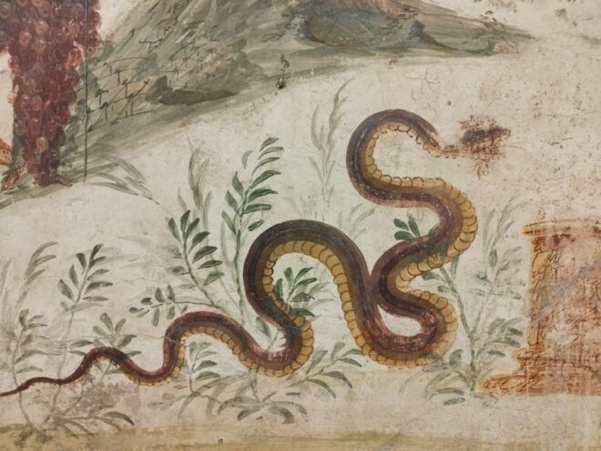 Naples: National Archeological Museum Tour With Michele Arpa - Museum Highlights