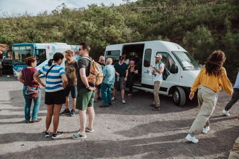 Naples: Pompeii and Mount Vesuvius Entry Tickets and Tour - Naples: Pompeii and Mount Vesuvius Entry Tickets and Tour