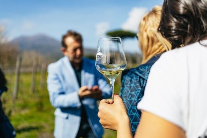 Naples: Pompeii and Mt. Vesuvius With Lunch and Wine Tasting - Important Information