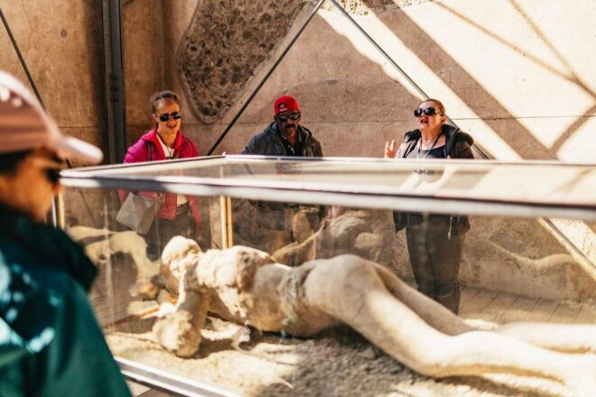 Naples: Pompeii and Mt. Vesuvius With Lunch and Wine Tasting - Customer Reviews