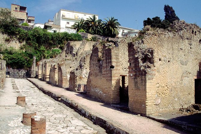 Naples: Pompeii, Herculaneum, and Vesuvius Tour by Minivan - Tour Highlights