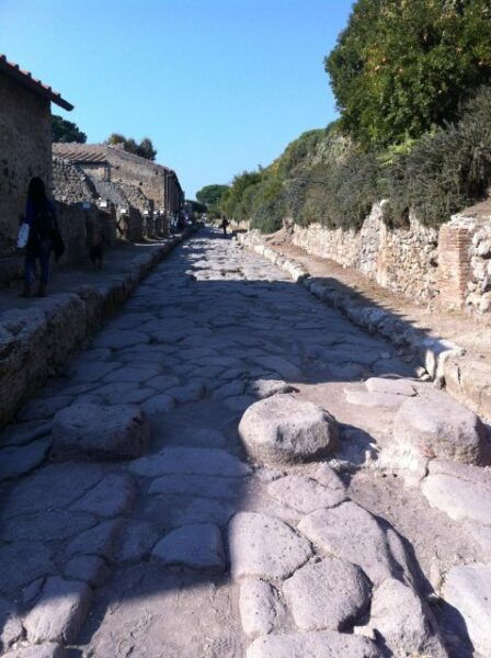 Naples: Pompeii & Herculaneum Tour W/ Lunch & Wine Tasting - Booking and Accessibility
