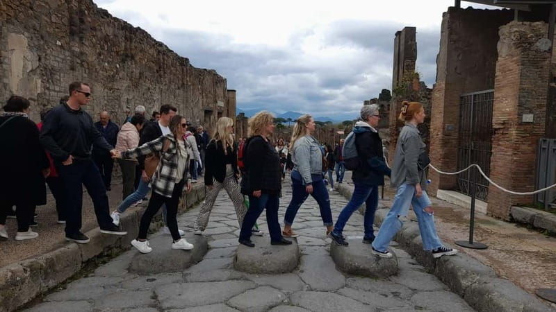 Naples: Pompeii & Herculaneum Tour with Lunch - An In-Depth Look at the Tour Experience