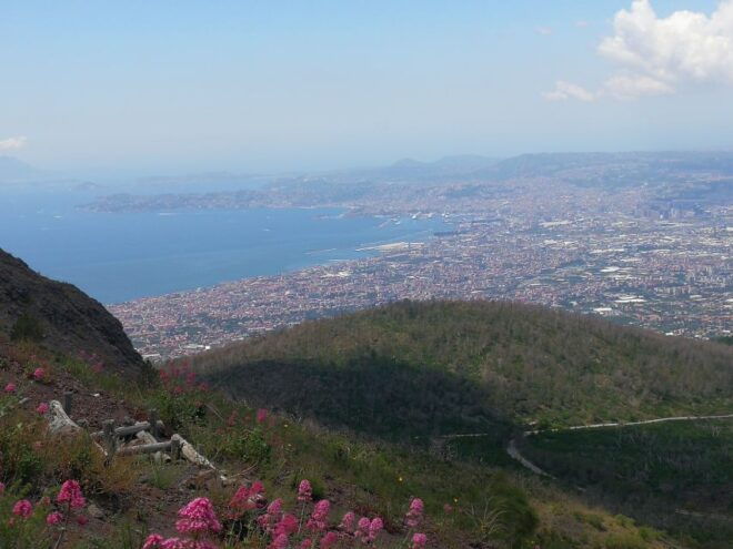 Naples: Pompeii, Mount Vesuvius, and Herculaneum Trip - Booking Information