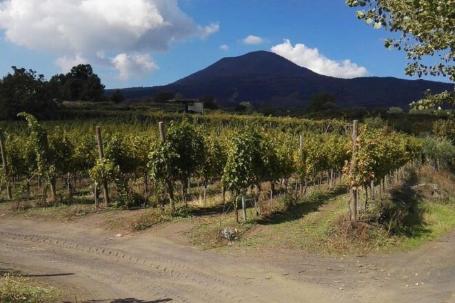 Naples: Pompeii Private Guided Hiking Tour - Booking and Pickup Information