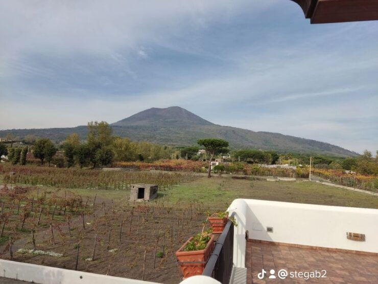 Naples: Pompeii & Wine Tasting Private Day Tour Small Group - Tour Highlights
