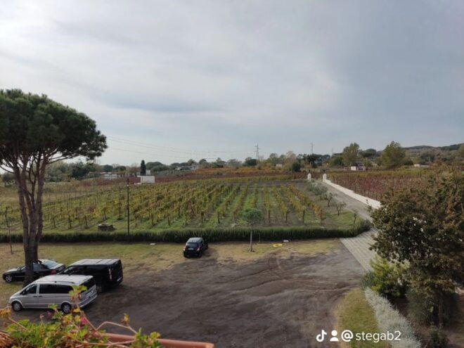 Naples: Pompeii & Wine Tasting Private Day Tour Small Group - Cancellation Policy