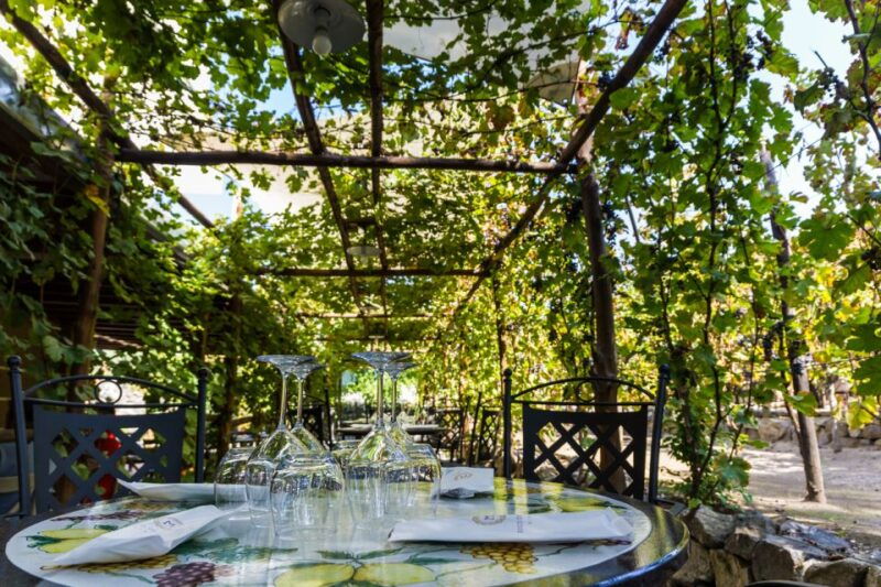 Naples: Pompeii Wine Tasting With Lunch - Highlights of the Wine Tasting