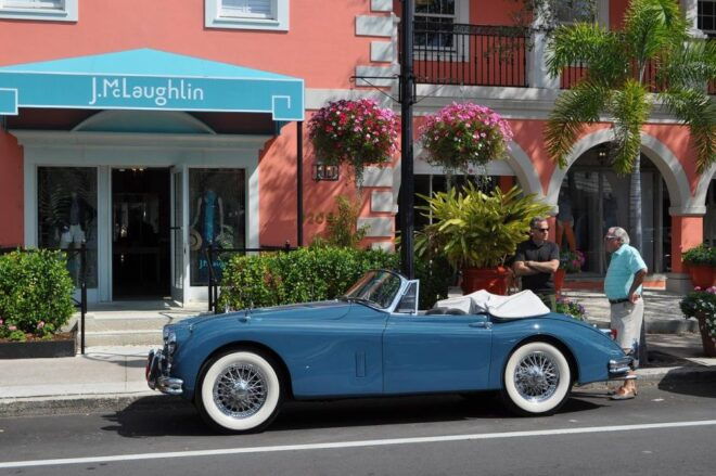 Naples Private 8 Hour Tour From Sorrento - Language Options