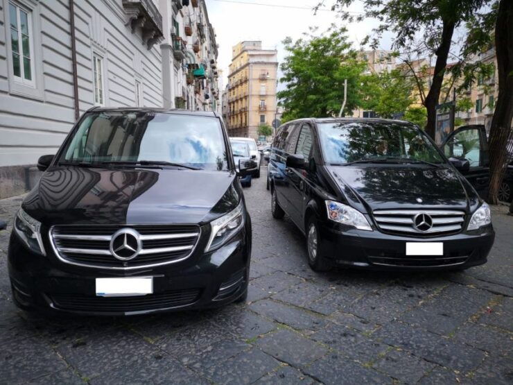 Naples: Private Airport Transfer to the City Centre - Booking Details