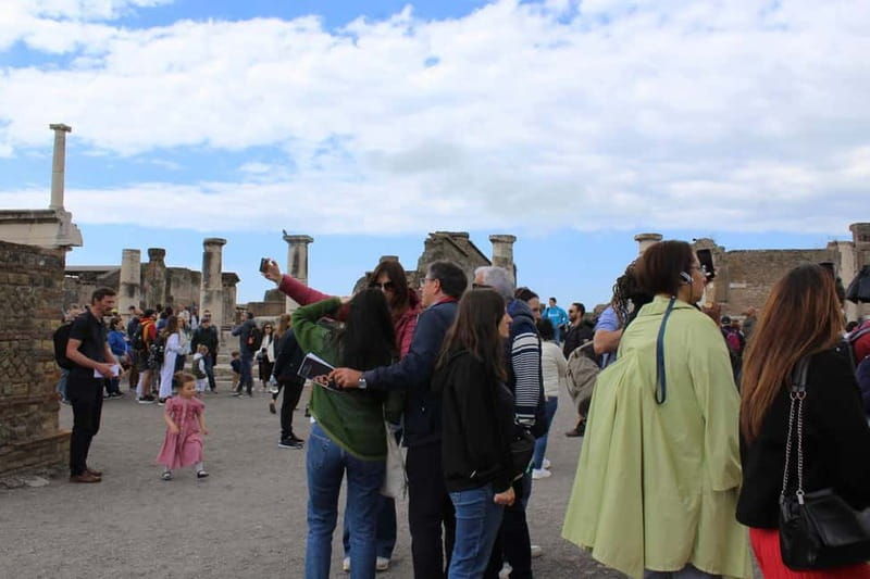 Naples: Private Pompeii & Vesuvius Tour with Driver - Who Will Love This Tour?