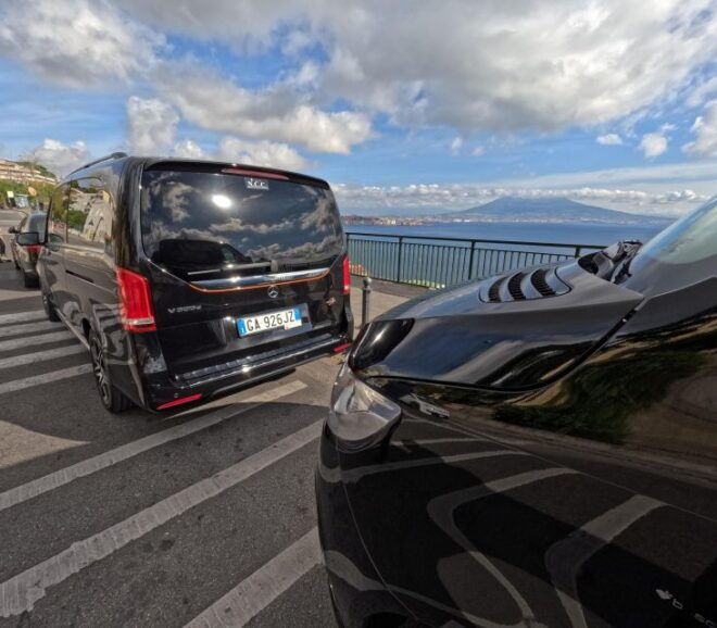 Naples Private Tour With Driver and Tour Guide - Important Information