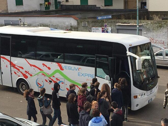 Naples: Round Trip + Entrance Ticket for the Vesuvio Park - The Sum Up