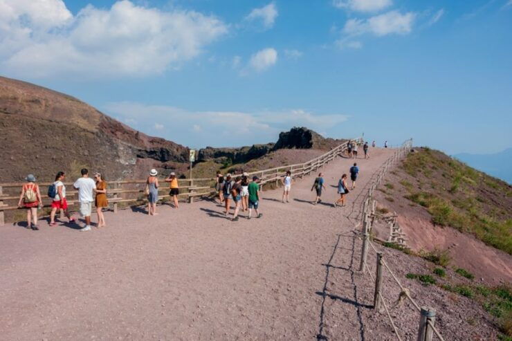 Naples: Round Trip for the Vesuvio Park - Activity Description