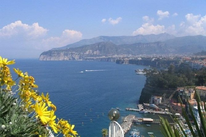 Naples Shore Excursion: Pompeii and Sorrento Day Trip - Meeting and Pickup Details
