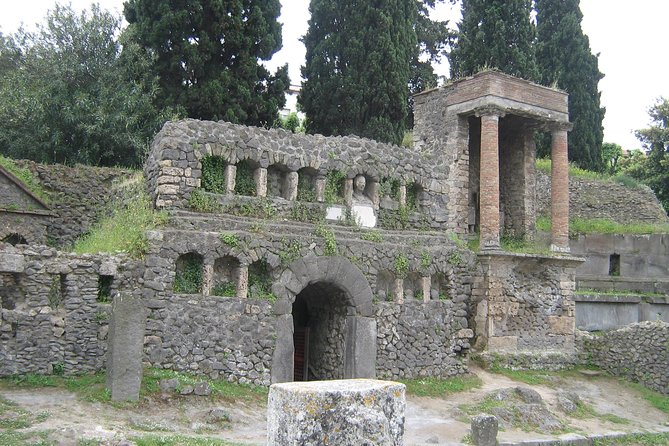 Naples Shore Excursion: Pompeii Half-Day Trip From Naples - Positive Feedback and Guide/Service Issues