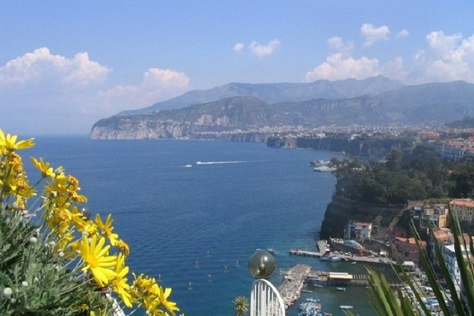 Naples Shore Excursion: Private Tour to Sorrento, Positano, and Amalfi - Pricing and Inclusions