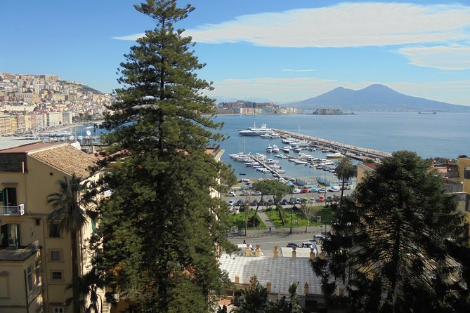 Naples Shore Excursion:Small Group Naples City Sightseeing Tour - Pricing and Booking