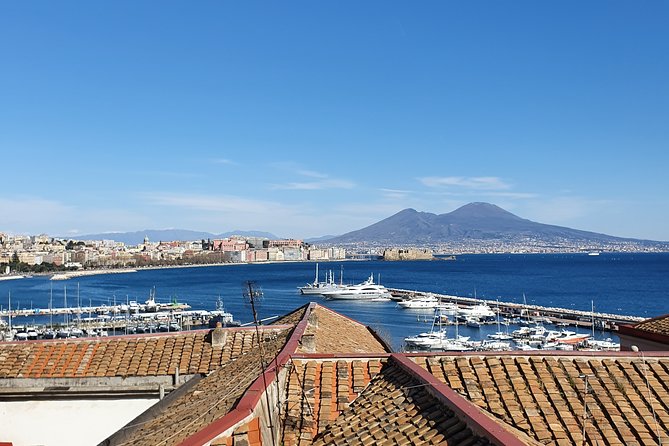 Naples Shore Excursion:Small Group Naples City Sightseeing Tour - Cancellation Policy