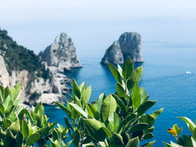 Naples: Small Group Capri and Anacapri With Ferry Tickets - Experience Description