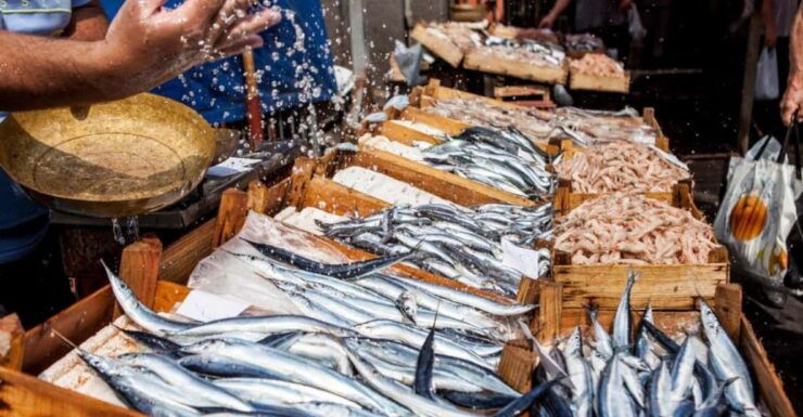Naples: Street Food Tour - Experience Highlights