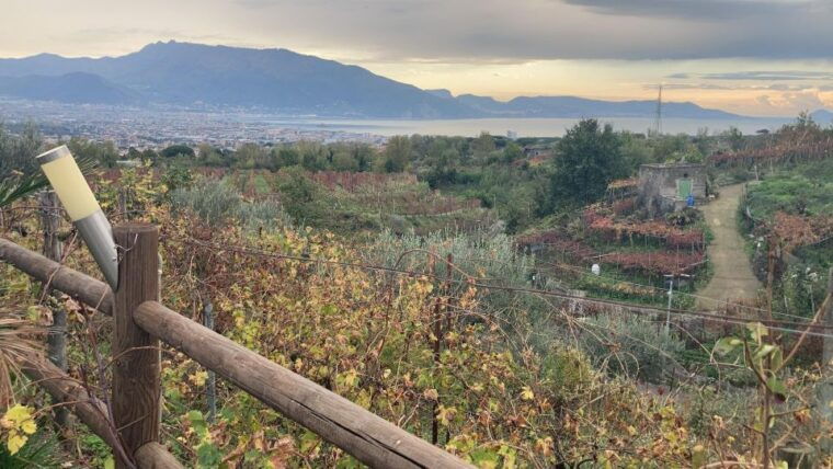 Naples to: Pompei , Vesuvius, Ercolano - FAQs  
