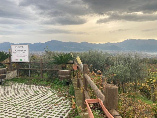 Naples To: Pompei , Vesuvius, Ercolano - Itinerary