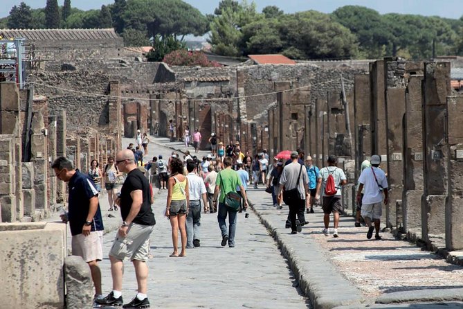 Naples to Sorrento With 2hr Pompeii Guided Tour or Vice Versa - Tour Inclusions