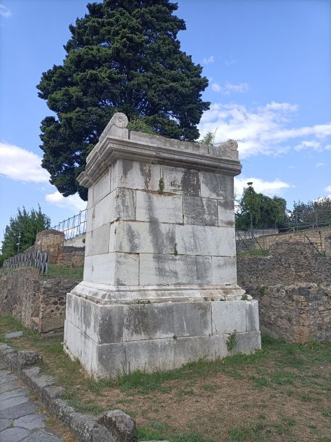 Naples to the Amalfi Coast & Herculaneum Guided Tour - Good To Know