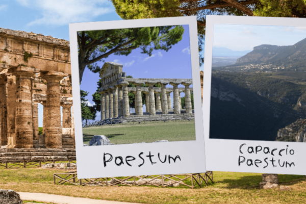 Naples: Train+Bus Link From/To Paestum Archaeological Museum - Travel Guidelines