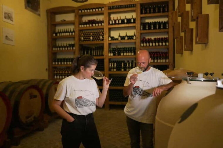 Naples Tuk Tuk Experience: Panoramas and Vineyards. - What’s Included and Practical Details