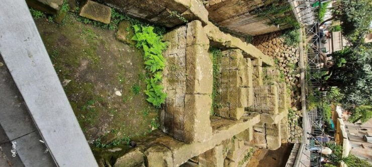 Naples up Tour;Brethlessviews Tasting!Included Entry Tikets - Experience