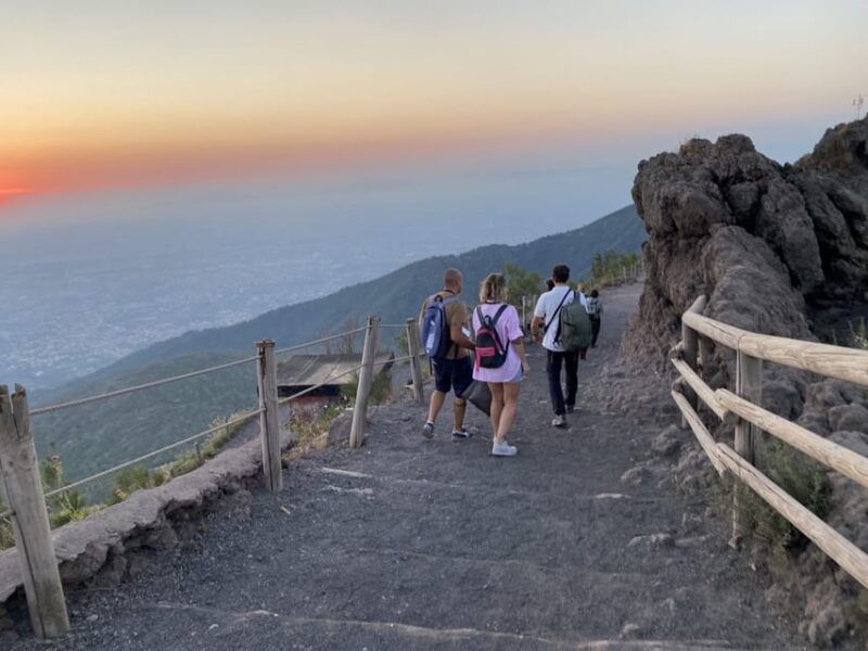Naples: Vesuvius and Wine Tasting Experience - Exploring the Volcanic Landscape of Mount Vesuvius