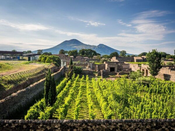 Naples: Vesuvius, Pompeii, and Vineyards Tour - The Sum Up